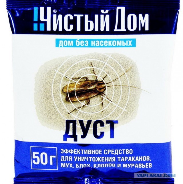 Сюрприз