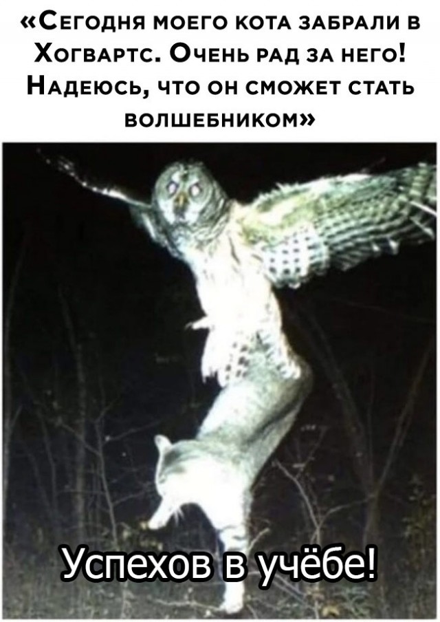 Весёлый полтишок 1.04