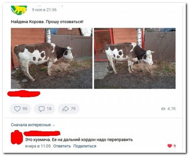Забавные комментарии из социальных сетей (22.11.21)