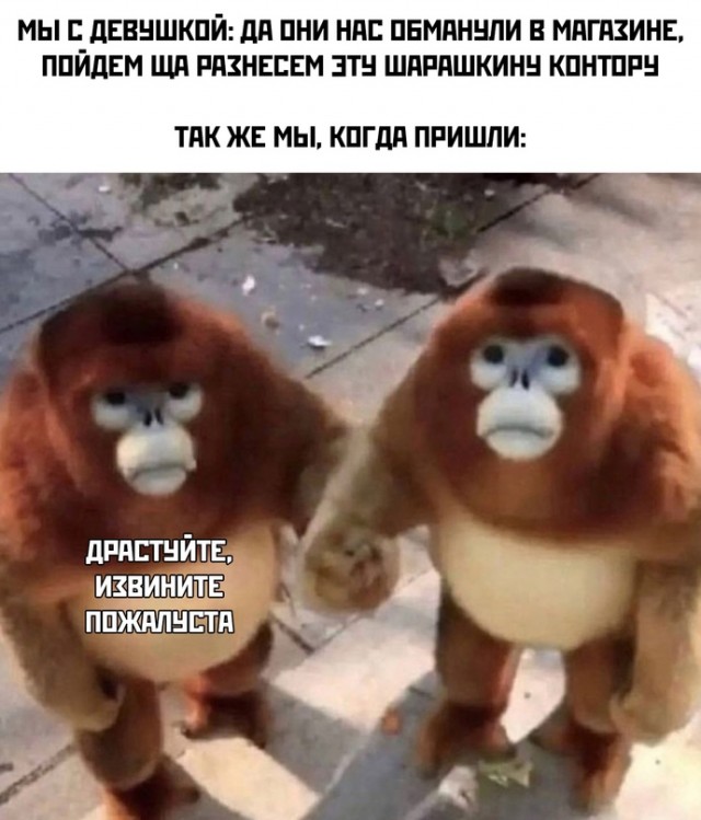 Весёлый полтишок 24.12
