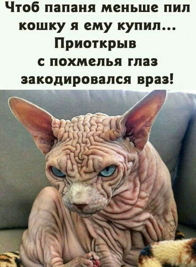 Так себе картинки 19.03.22