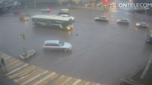 Стадо баранов