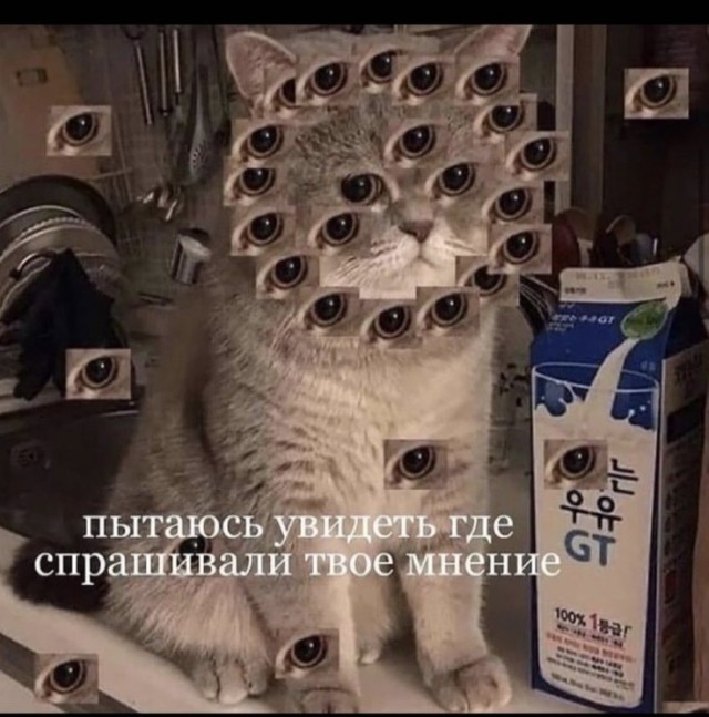 Так себе картинки 18.05.22