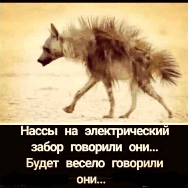 Картинки разные 26.05.2022