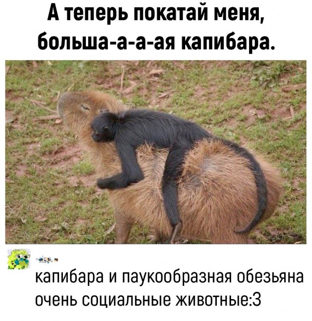 Так себе картинки 24.06.22