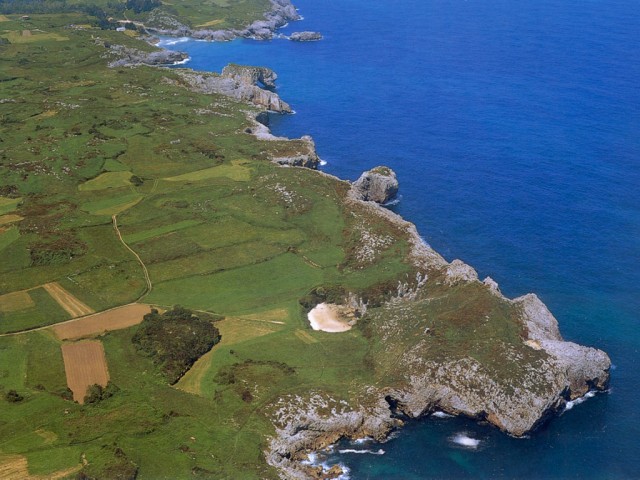 Морской пляж посреди пустыря с кустарником