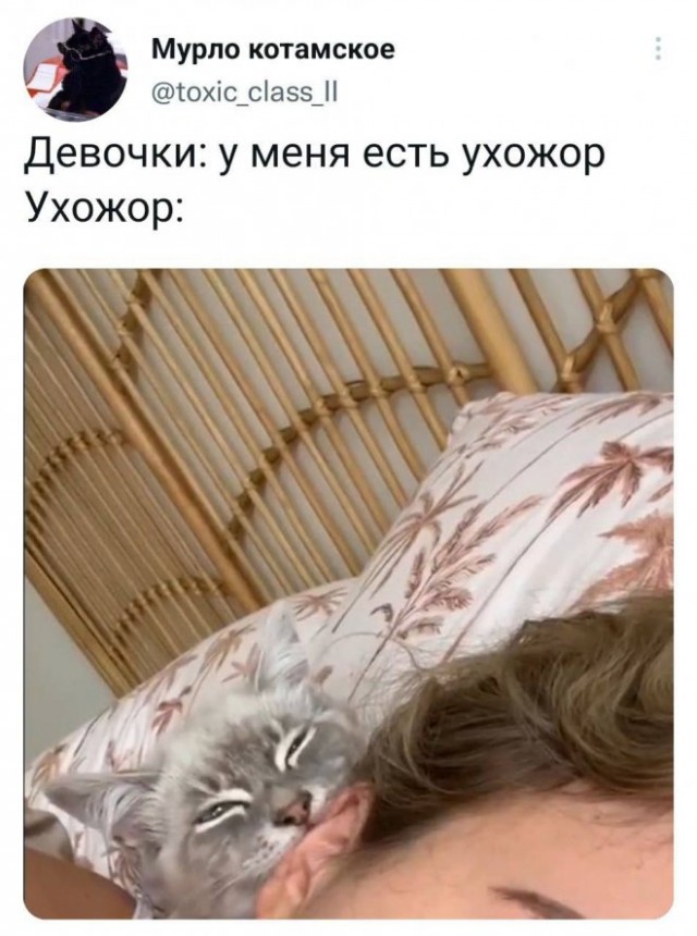 Немного картинок."Колбасный ветер". Август