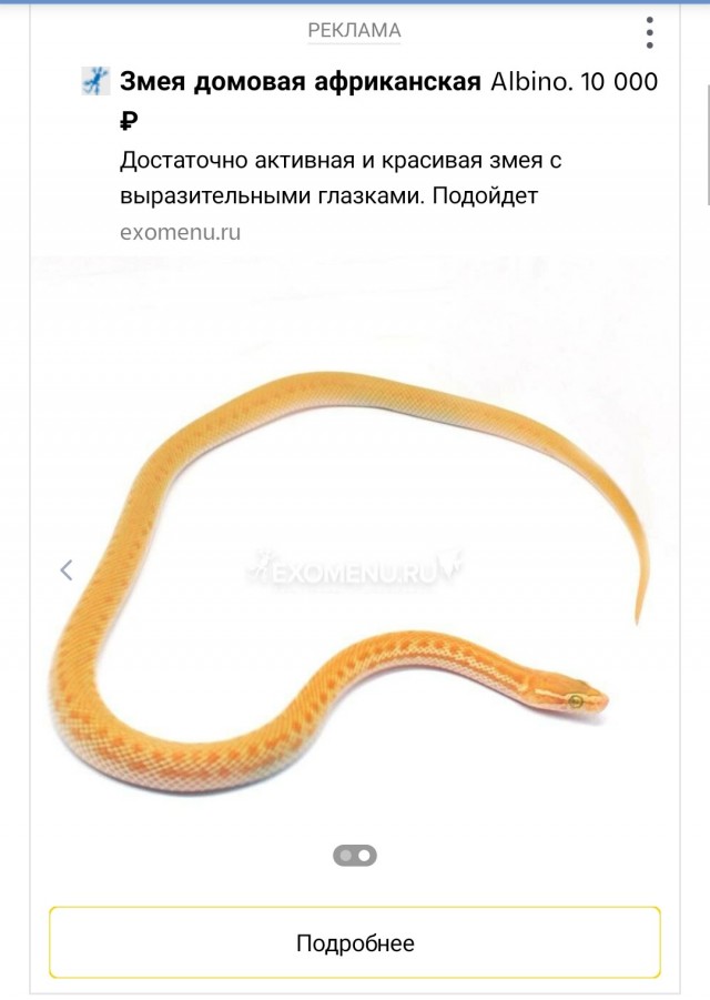 Не пиз**астрадание, но не понимание этих сорокапятилетних "девушек". Не кочет! Из Жизни!