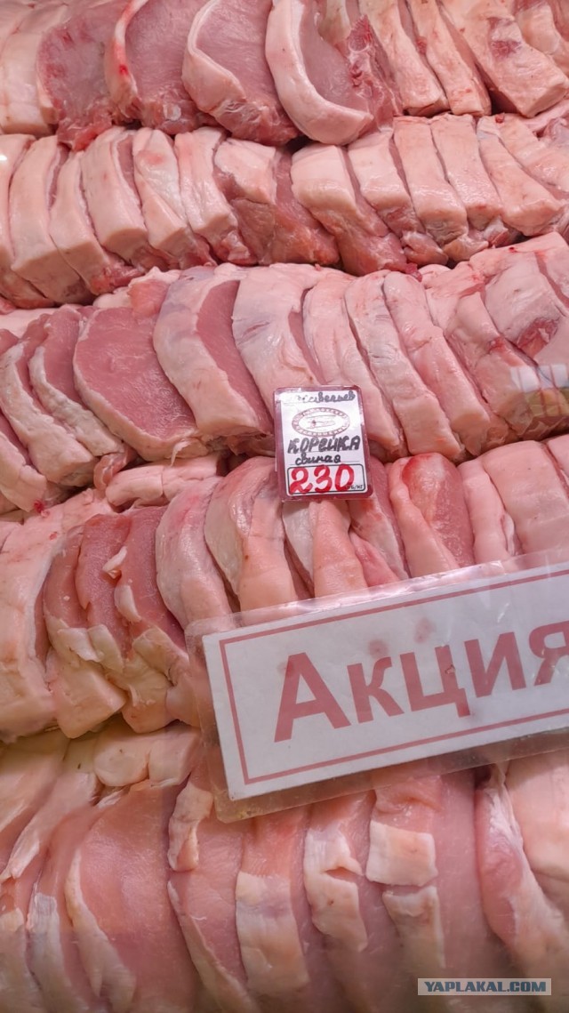 Какие продукты можно купить нынче в Испании на 100 евро или Как изменились цены за последний год