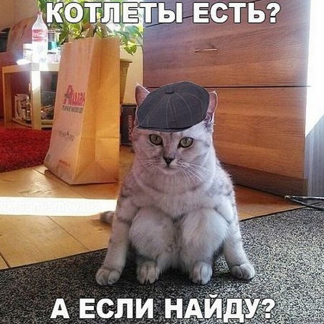 Вторничные веселые картинки с просторов Сети