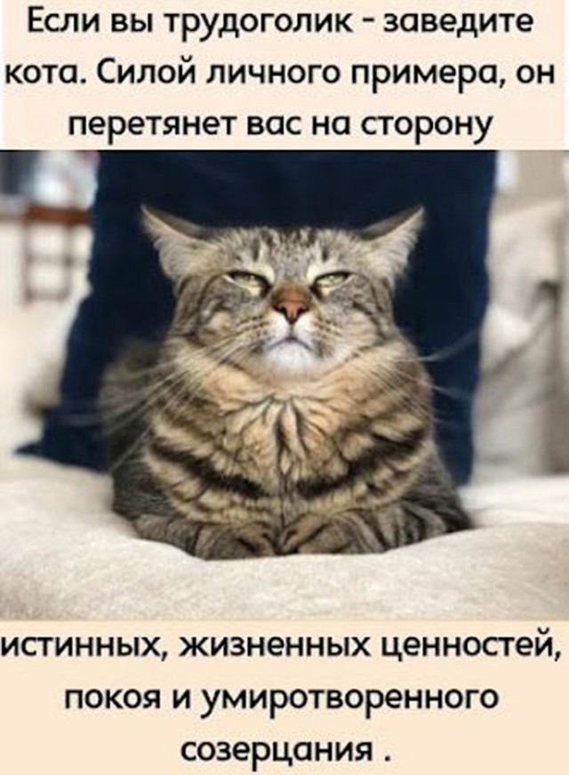 Прикольные и просто красивые картинки 21.07.2023