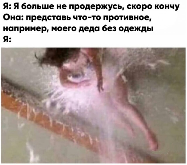 Чёрно-пошлая деградация