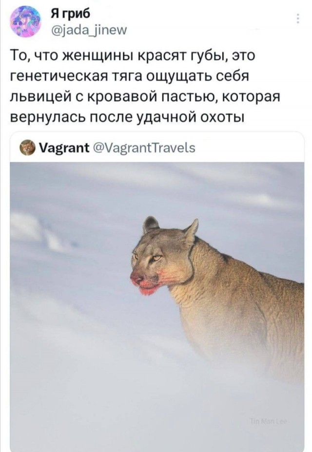 Тлидцать тли от 13 февлаля