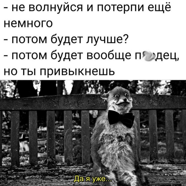 Весёлый полтишок 14.10.2024