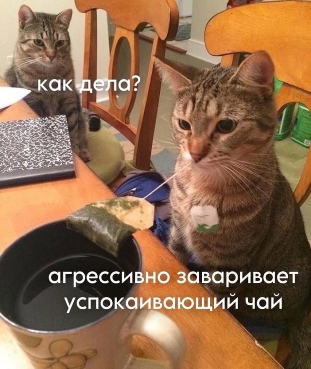 Веселые картинки к пятнице