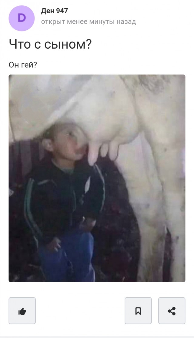Шрус на вишнёвой поляне