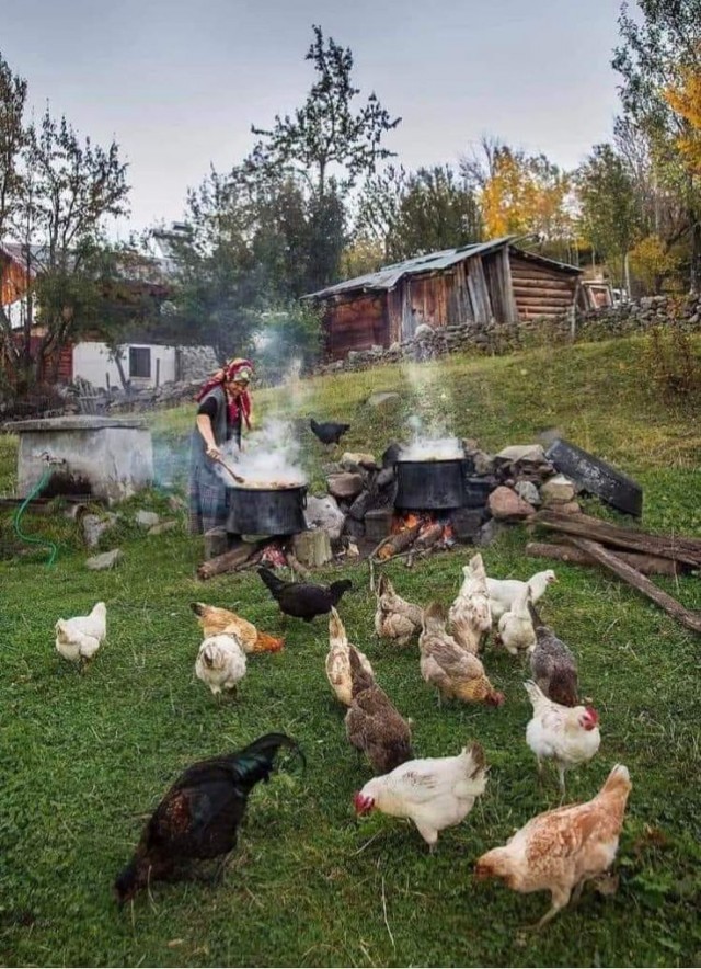 Прикольные и просто красивые картинки