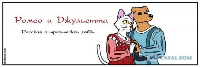 Ромео и Джульетта