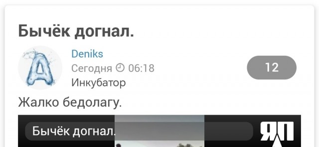 Бычëк догнал.