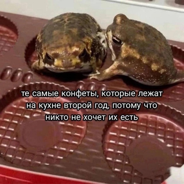 Октябрь, день десятый …
