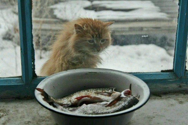 Так себе картинки 07.12.25