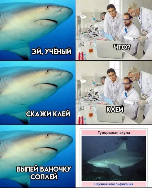 Веселое настроение в картинках 18.08.26