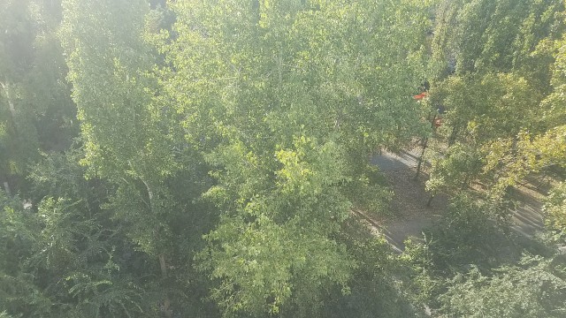 Тоска.