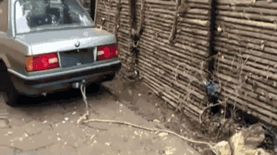 Пень корчует пень