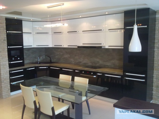 Бойцы украинского "Беркута" просят убежища