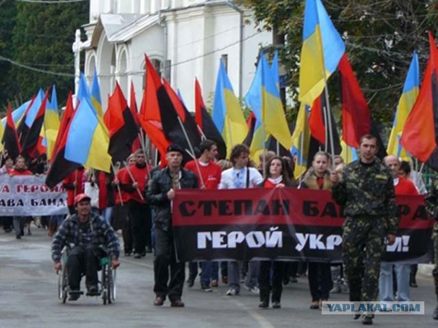 Прямая трансляция пресс-конференции!