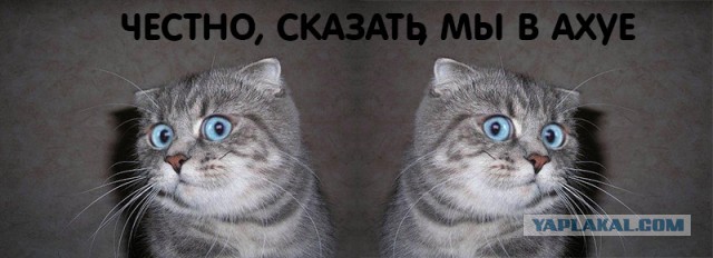Эпик фэйл