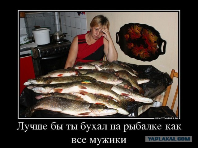 Клёв пошёл....