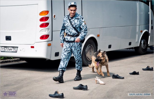 Центр кинологической службы Упр-ния на транспорте