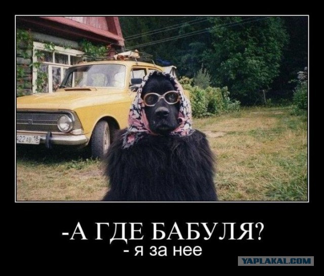 Картинки на пятницу
