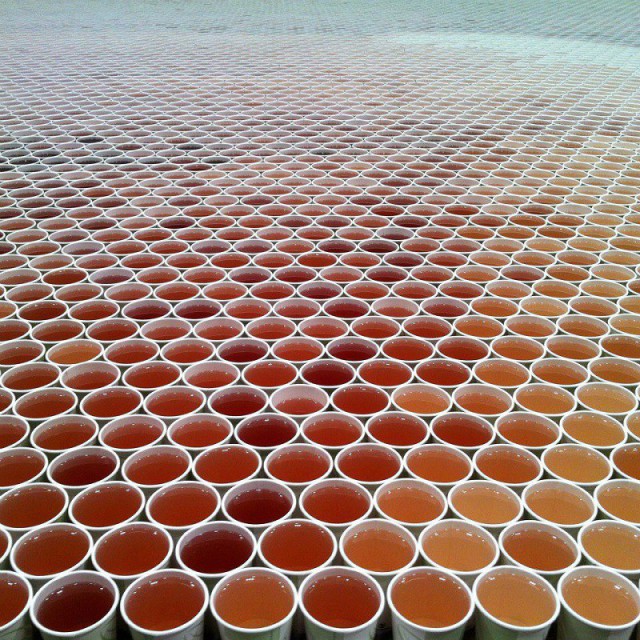 Гигантская мозаика из 66000 бумажных стаканчиков