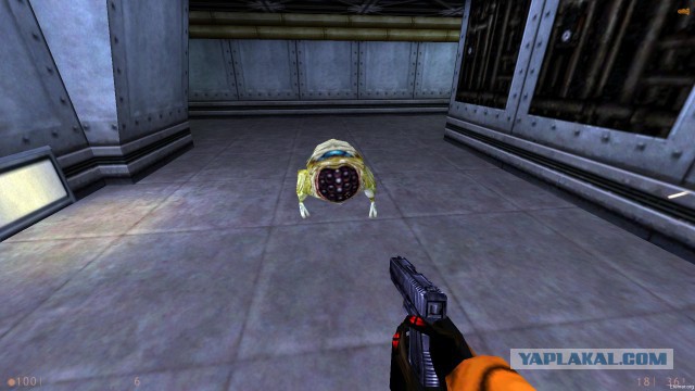 Нападение бродячих собак в Перми