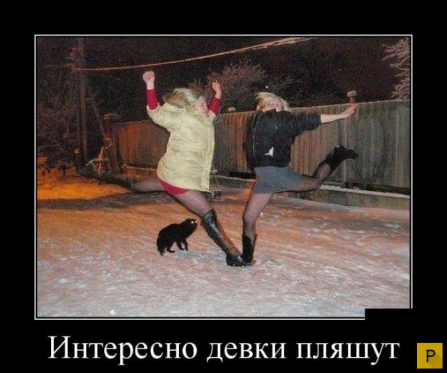 Прикольные картинки