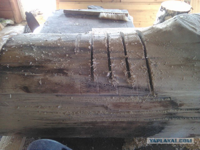 Лавка из березового бревна