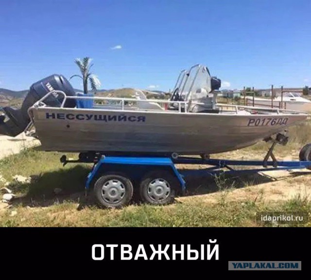 Всякие картинки из ваших энторнетов