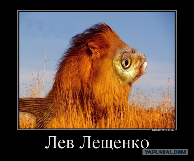 Страшно ли умирать.....?