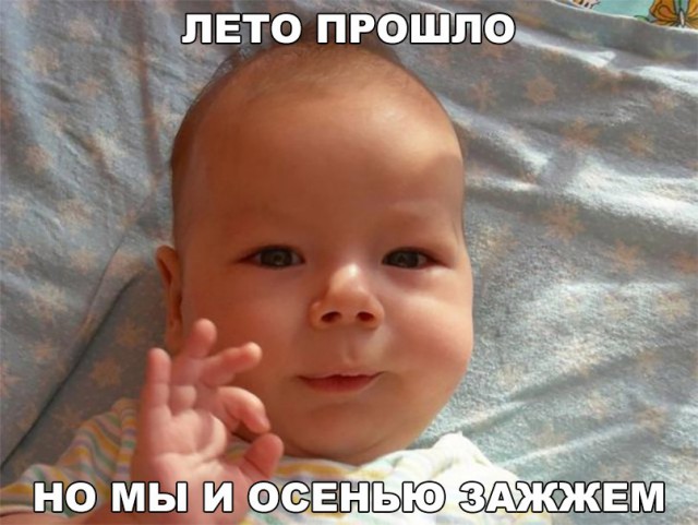 Картинка все ок