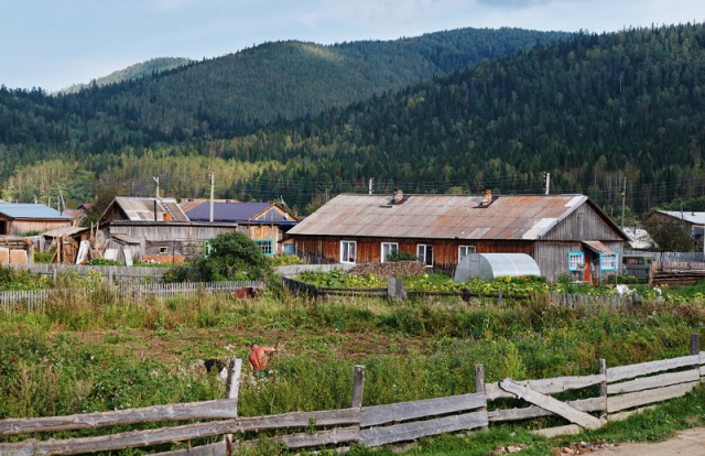 Полуторник. Жизнь сибирской деревни