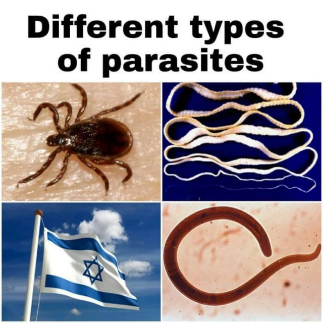 Адовая смесь чернушных картинок на вторник