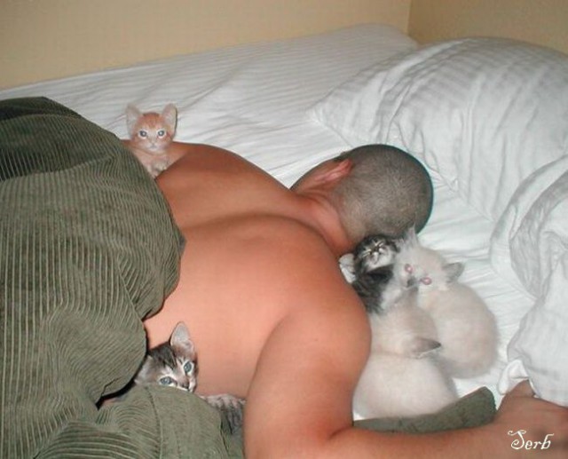 Котэ и кровать