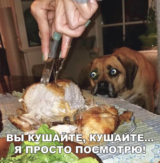 Нестандартный юмор