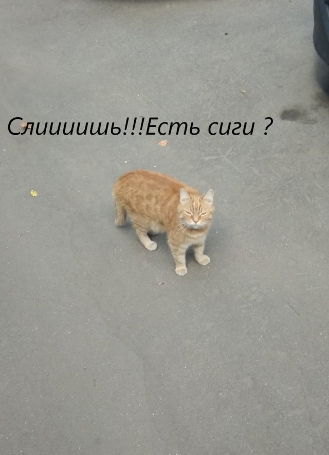 Немного картинок на выходные