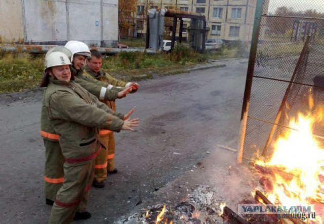 На днях слетал в Ташкент
