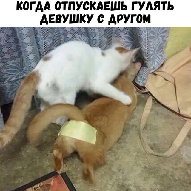 Немного картинок в эту пятницу