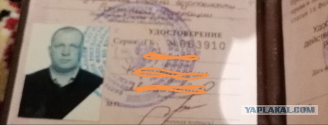 Злые и ленивые россияне