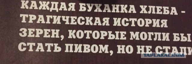 Прикольные картинки абавсём